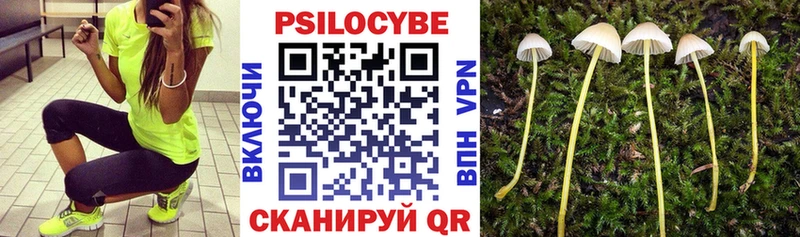 Галлюциногенные грибы мухоморы Сунжа