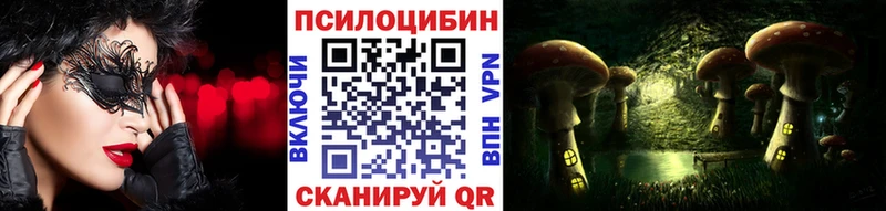 где продают наркотики  мега tor  Галлюциногенные грибы ЛСД  Сунжа 