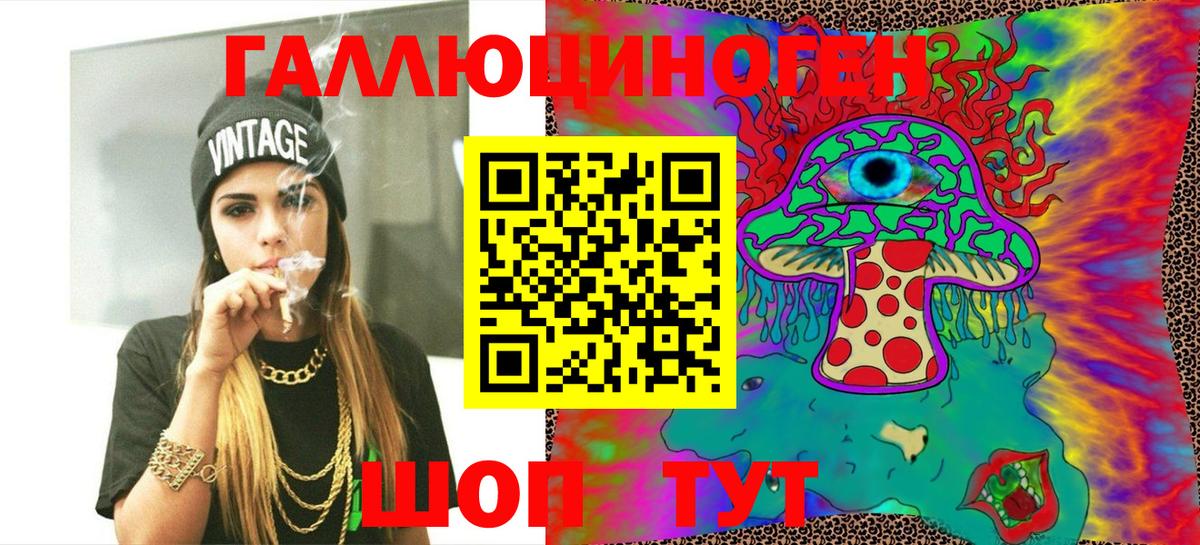 Псилоцибиновые грибы Cubensis  Вход с VPN  Сунжа 